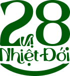nhiet doi