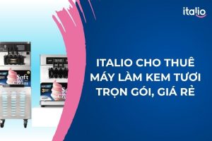 Dịch Vụ Cho Thuê Máy Làm Kem Tươi Trọn Gói, Giá Rẻ