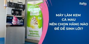 Máy Làm Kem Cà Mau: Nên Chọn Hãng Nào Để Dễ Sinh Lời?