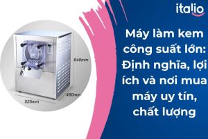 máy làm kem công suất lớn