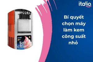 Máy làm kem công suất nhỏ