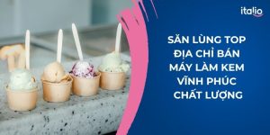 Săn Lùng Top Địa Chỉ Bán Máy Làm Kem Vĩnh Phúc Chất Lượng